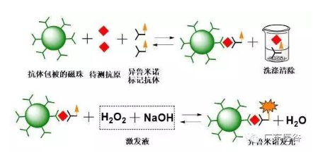 【兆恒機械】化學發(fā)光免疫分析技術-引領體外診斷行業(yè)